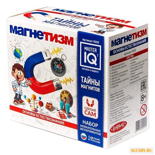 Набор Master IQ² Магнетизм