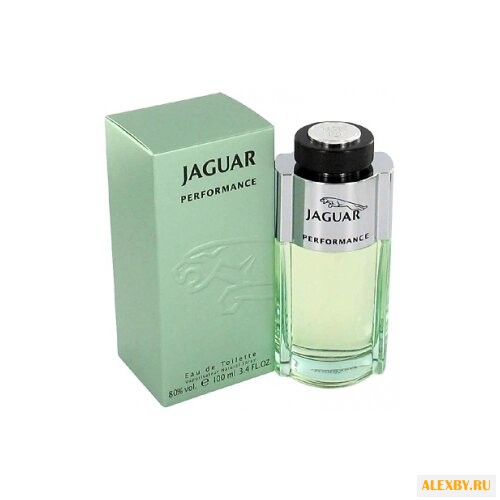 Jaguar Jaguar Performance