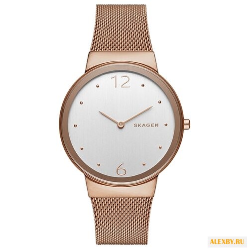 Наручные часы SKAGEN SKW2518