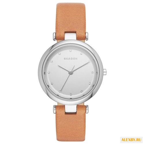 Наручные часы SKAGEN SKW2455