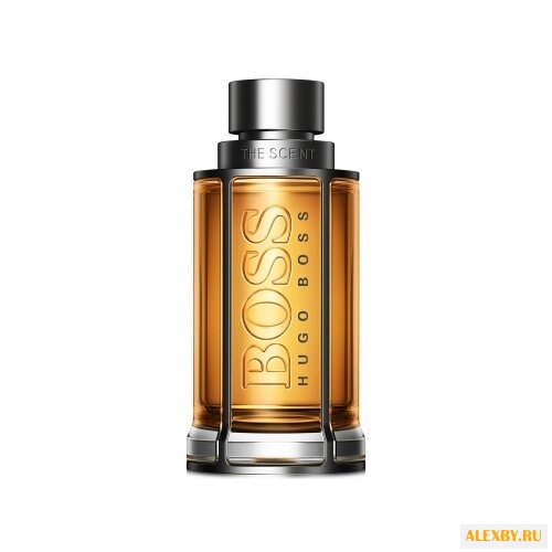 HUGO BOSS The Scent for Him