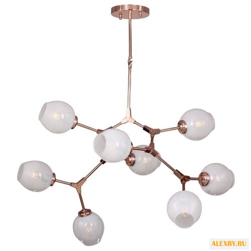 Favourite FV 1743-8P