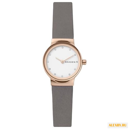 Наручные часы SKAGEN SKW2669