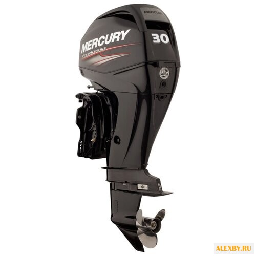 Лодочный мотор Mercury ME F 30
