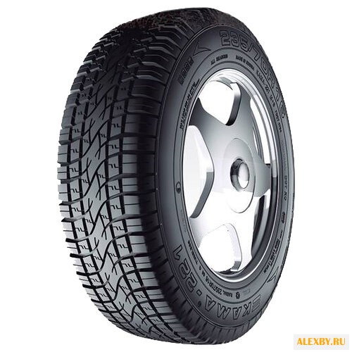 Автомобильная шина