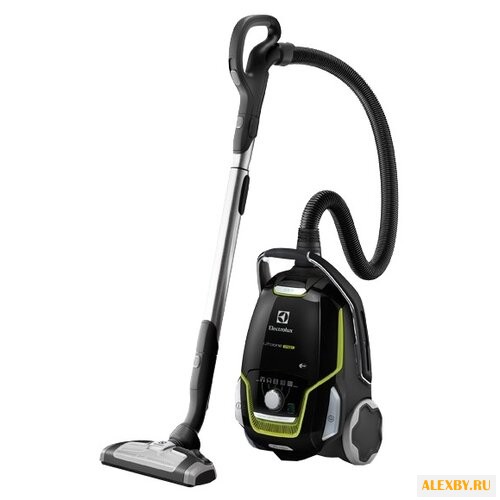 Пылесос Electrolux ZUOGREEN+