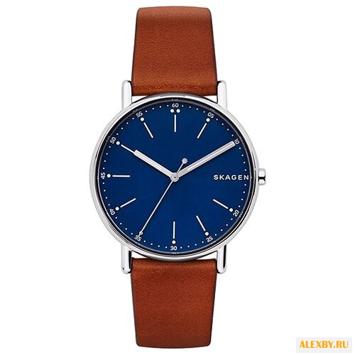 Наручные часы SKAGEN SKW6355