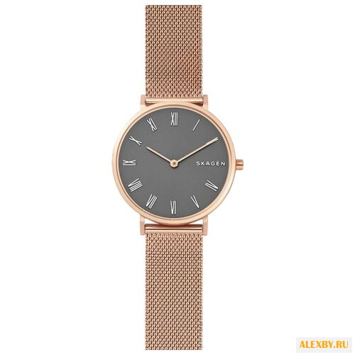 Наручные часы SKAGEN SKW2675