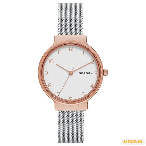 Наручные часы SKAGEN SKW1080