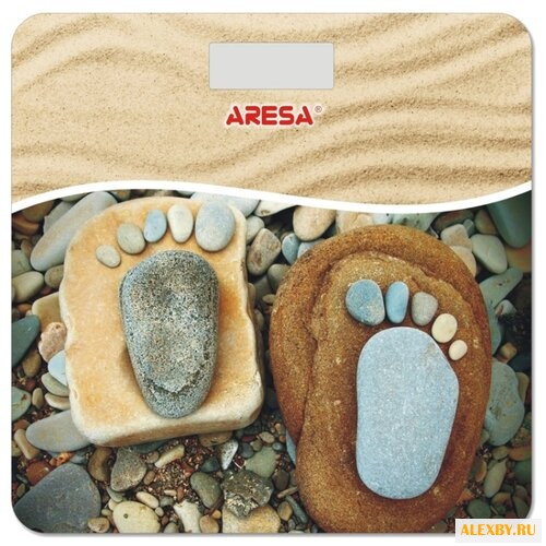 Весы ARESA SB-304