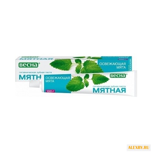 Зубная паста Весна Освежающая