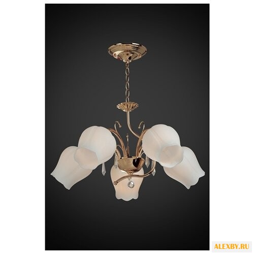 Максисвет 2-4654-5-FG