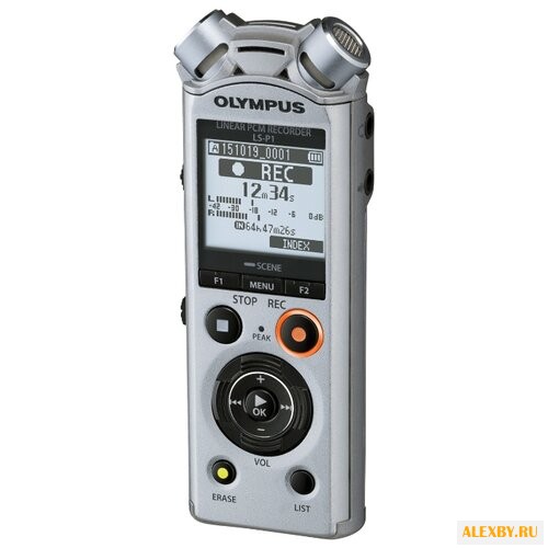 Портативный рекордер Olympus