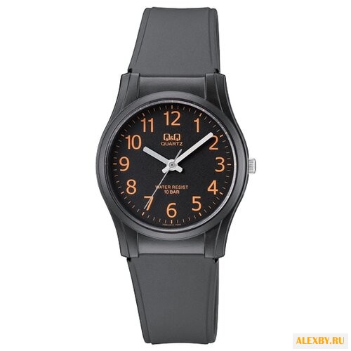 Наручные часы Q&Q VQ02 J011