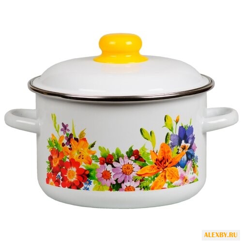 Кастрюля СтальЭмаль 1RD221M 55 л