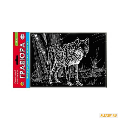 Гравюра Рыжий кот Волк в пакете