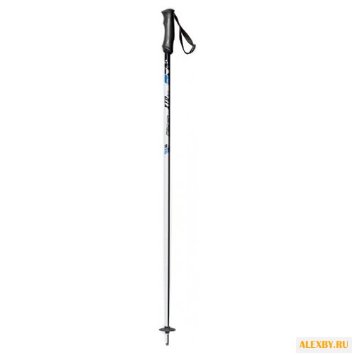 Палки для горных лыж Fischer