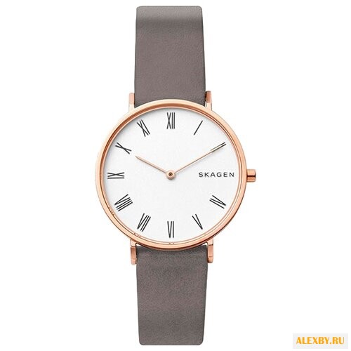 Наручные часы SKAGEN SKW2674