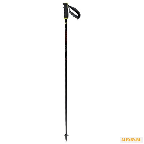 Палки для горных лыж Fischer
