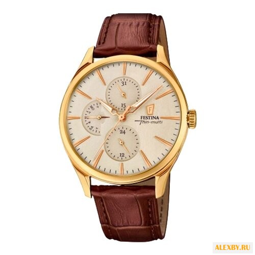 Наручные часы FESTINA F16993 1