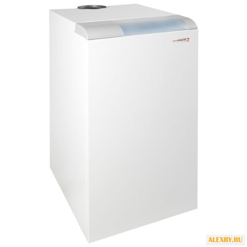 Газовый котел Protherm Медведь