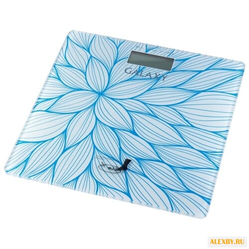 Весы Galaxy GL4805