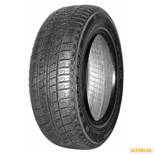 Автомобильная шина