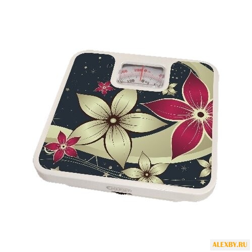 Весы Energy ENM-409A