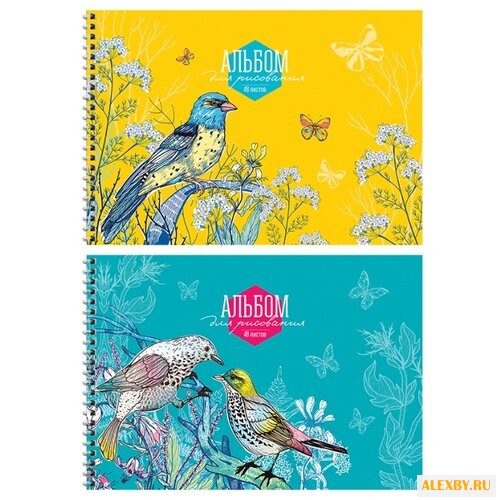 Альбом для рисования ArtSpace