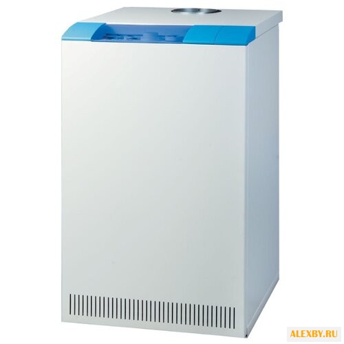 Газовый котел Thermona THERM 55
