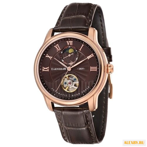 Наручные часы EARNSHAW ES-8066-04