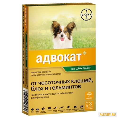 Адвокат Bayer Адвокат для