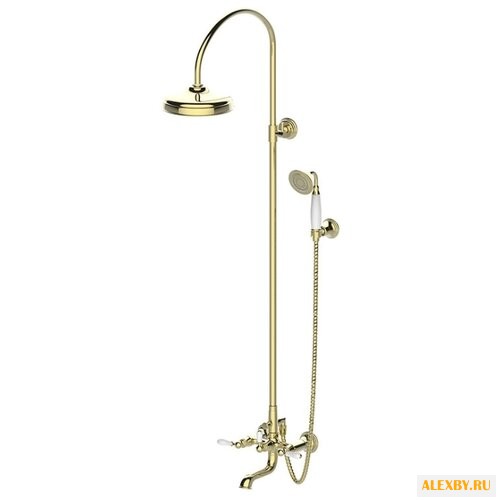 Душевая стойка Bravat Zollern