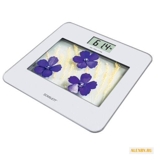 Весы Scarlett SC-BS33E002 SR BU