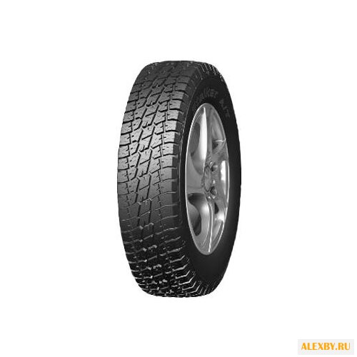 Автомобильная шина Bontyre