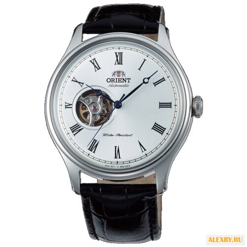 Наручные часы ORIENT AG00003W