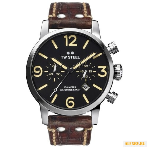 Наручные часы TW Steel MS4