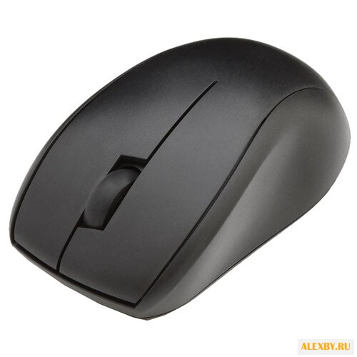 Мышь Gembird MUSW-100 Black USB