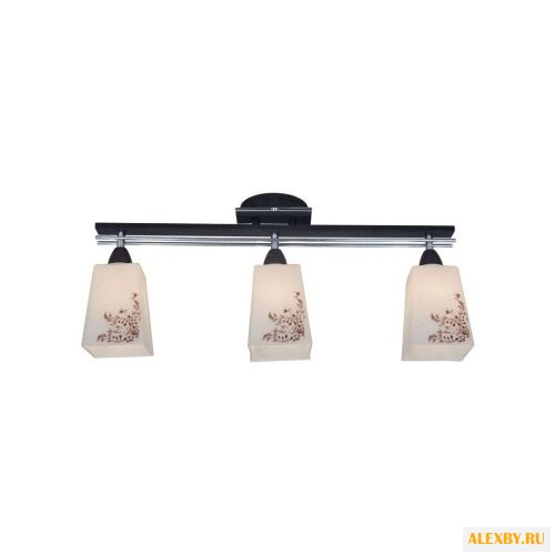 Citilux CL145131 Креол