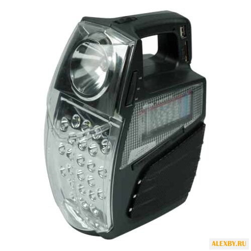 Радиоприемник Ritmix RPR-555