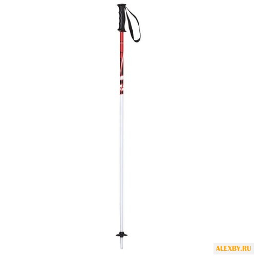 Палки для горных лыж Elan Jett