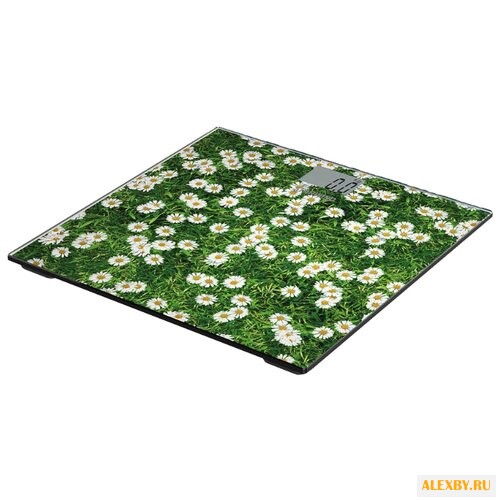 Весы STARWIND SSP2355