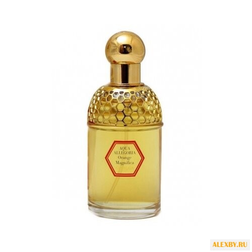 Guerlain Aqua Allegoria Orange