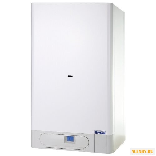 Газовый котел Thermona THERM