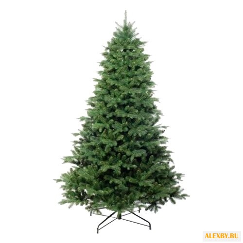 Царь елка Ель Амурская