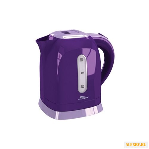 Чайник Ладомир 313