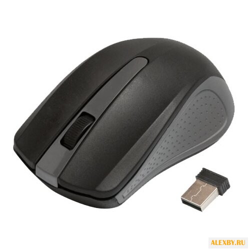 Мышь Ritmix RMW-555 Black-Grey