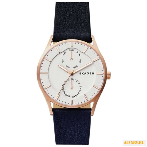 Наручные часы SKAGEN SKW6372