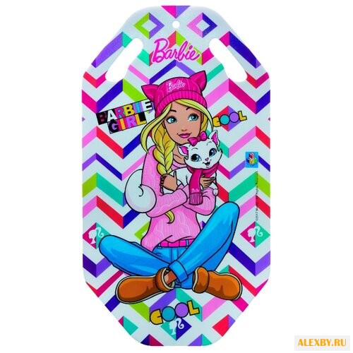 Ледянка 1 TOY Barbie Т10615