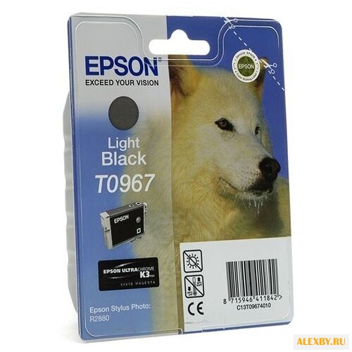 Картридж Epson C13T09674010